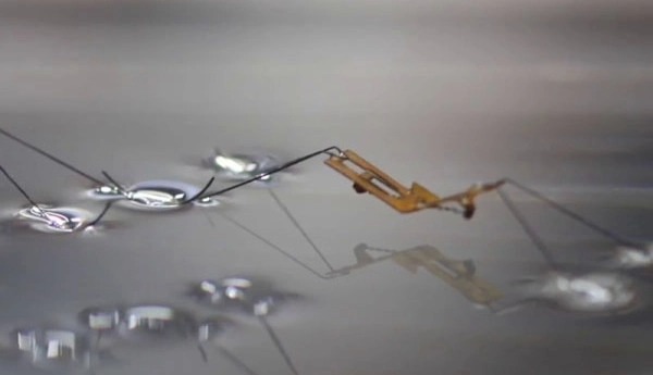 Rhagobot : un robot inspiré d’insectes aquatiques se prépare à sauver des vies
